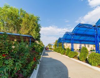 Детский оздоровительный лагерь "Глобус"