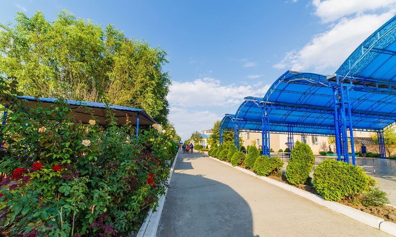 Детский оздоровительный лагерь "Глобус"